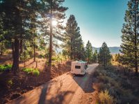 driving wooded mountain road in a camper