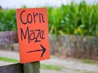 Corn mazes sign