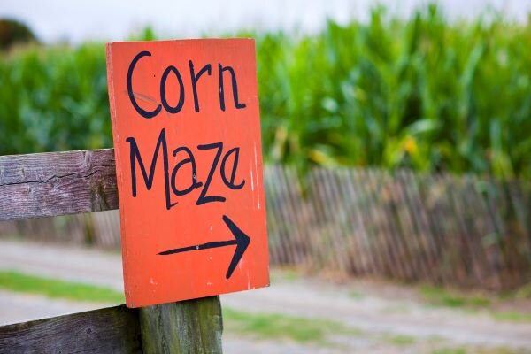 Corn mazes sign