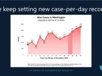 Washington State coronavirus cases chart Nov 2020