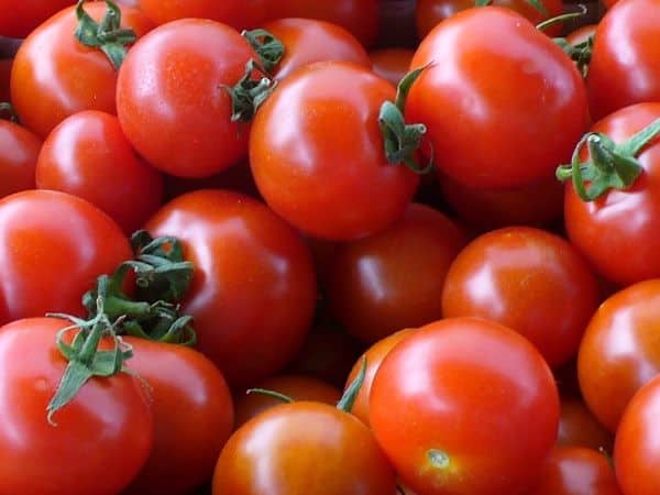 Tomatoes at the farmers market photo by C. Cancler