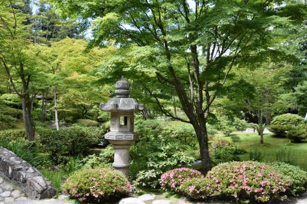 Seattle Japanese garden in spring