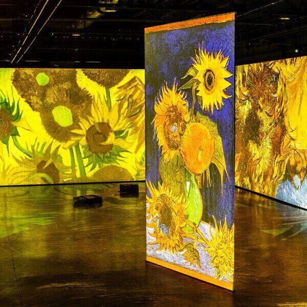 Imagine Van Gogh digital art exhibit - sunflowers