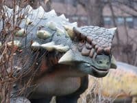 Woodland Park Zoo Dinosaur Discovery - Gastonia