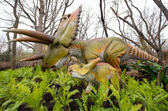 Woodland Park Zoo Dinosaur Discovery exhibit - Pentaceratops and baby