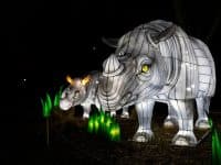 Woodland Park Zoo WildLanterns rhinos