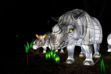 Woodland Park Zoo WildLanterns rhinos