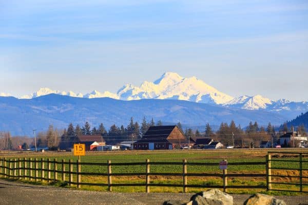 Skagit Valley farm 