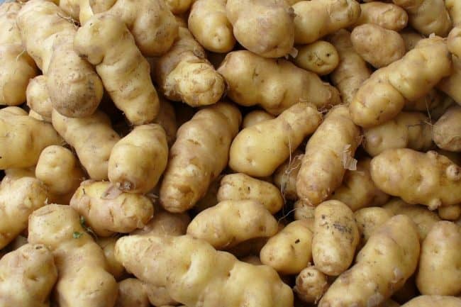 fingerling potatoes