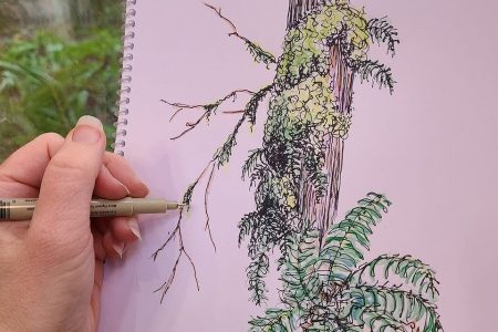 someone sketching a tree outdoors