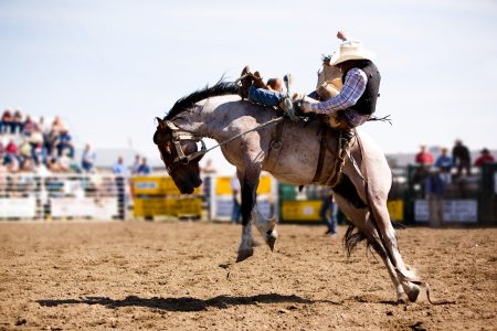 rodeo bronc rider