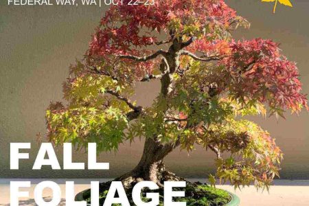 Poster for Pacific Bonsai Museum Fall Foliage Festival 2022