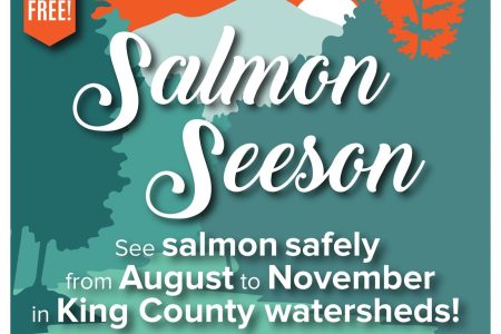 Salmon Seeson in King County - banner