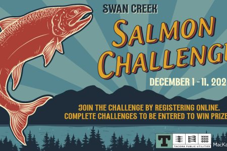 Banner for Salmon challenge Swan Creek 2022