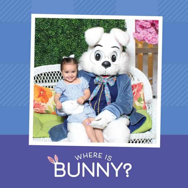 Hop to It! Book Your Bunny Photos at Seattle area malls ...