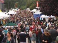 Fremont Fair 2010