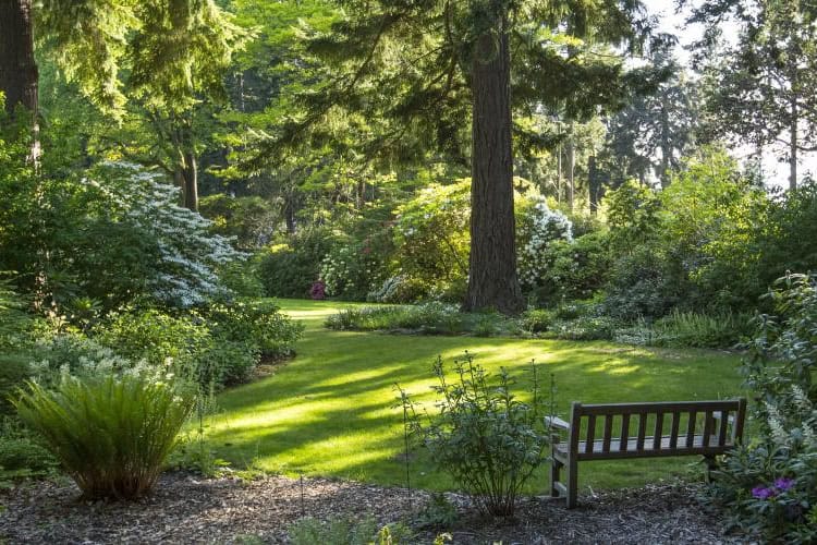 Dunn Garden Early Summer