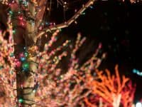 Christmas lights